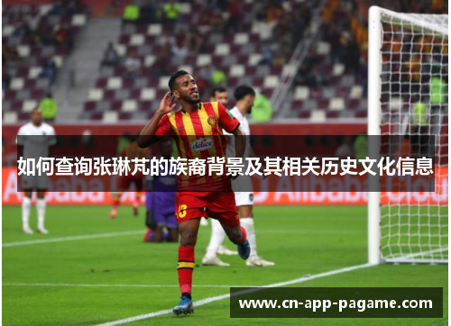 如何查询张琳芃的族裔背景及其相关历史文化信息