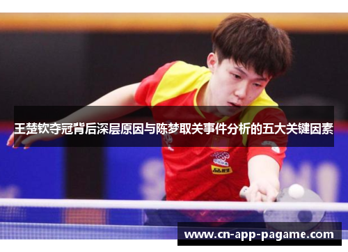 王楚钦夺冠背后深层原因与陈梦取关事件分析的五大关键因素