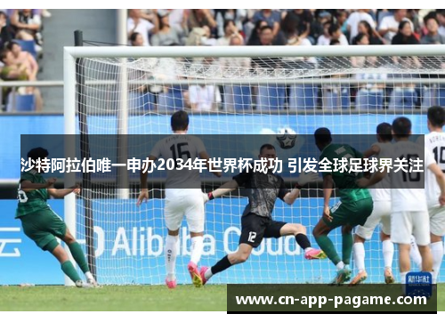 沙特阿拉伯唯一申办2034年世界杯成功 引发全球足球界关注