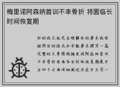 梅里诺阿森纳首训不幸骨折 将面临长时间恢复期