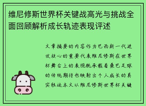 维尼修斯世界杯关键战高光与挑战全面回顾解析成长轨迹表现评述 维尼修斯世界杯关键战高光与挑战全面回顾解析成长轨迹表现评述